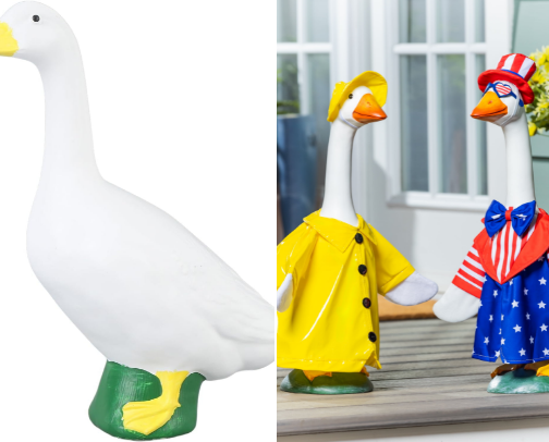 Goose Galore🪿 cover photo collage