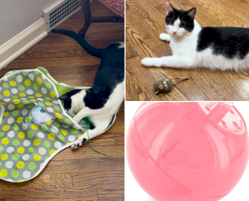 Things They Actually Like cover photo collage