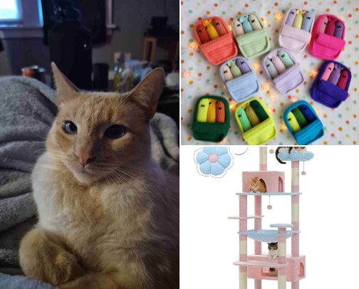 Purrrfectly Cute Cat Things 😸🐾 cover photo collage