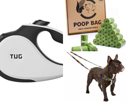 Dog Essentials to Succeed in Dog Ownership cover photo collage