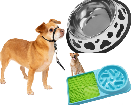 New puppy essentials cover photo collage