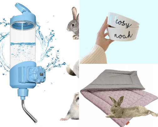 Everything my bunny has cover photo collage