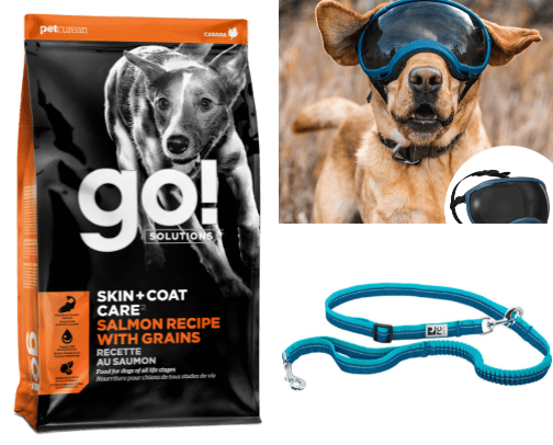 All for the Dogs! cover photo collage