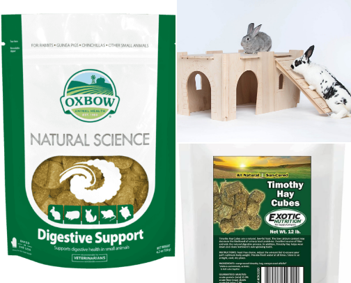 Bunny Proofing 101: The Best Chew Toys & Essentials to Save Your Baseboards cover photo collage