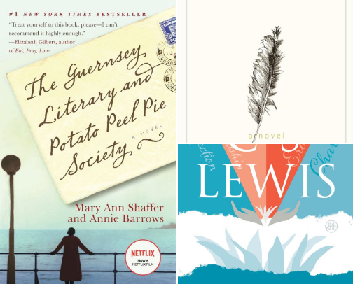 My 2026 TBR cover photo collage