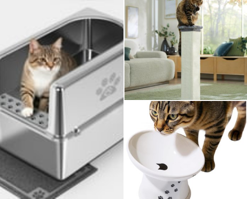 Cat Essentials cover photo collage