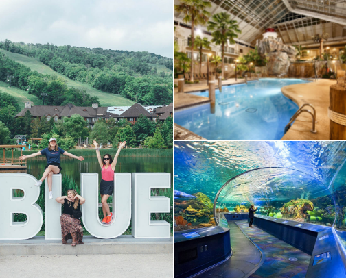 Adventure cover photo collage