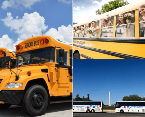 Buses cover photo collage