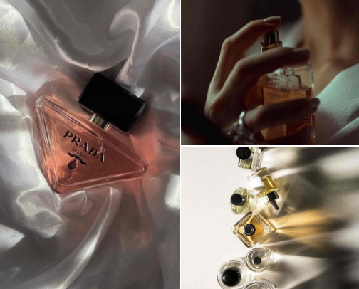 seductive fragrances cover photo collage