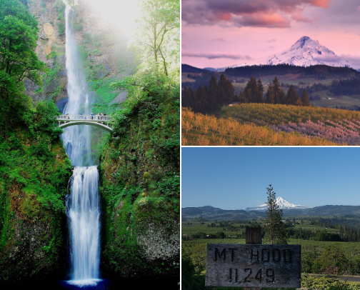 Hood River, OR - Adventure, Food, and Wine cover photo collage