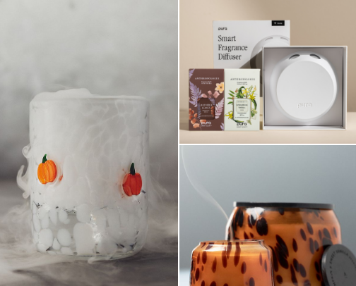 Everything You Love About Fall, All in One Place🍂 cover photo collage