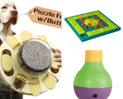 Best Mental Stimulation cover photo collage