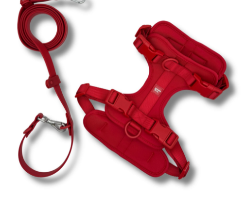 Dog Mom Essentials 🐶✨ cover photo collage