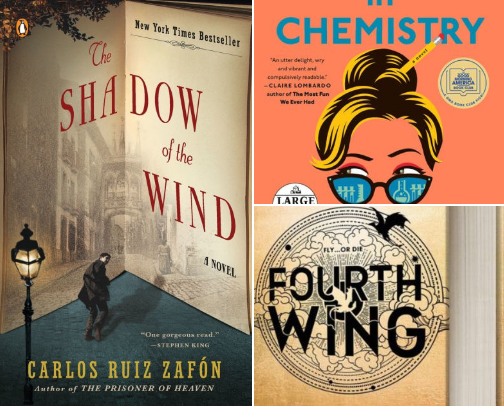 Darn good book recs cover photo collage