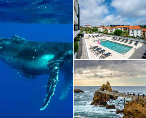 Hotel stays for an easygoing getaway, Ocean Views, Beach Days & Easygoing Places to Stay Biarritz, France cover photo collage