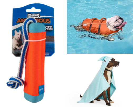 Everything Your Pup Needs to Start Dock Diving cover photo collage