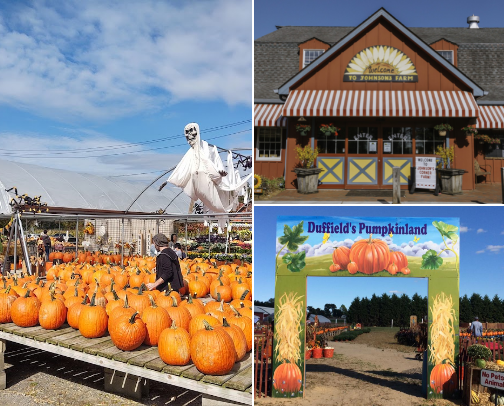 🍁All Things Fall cover photo collage