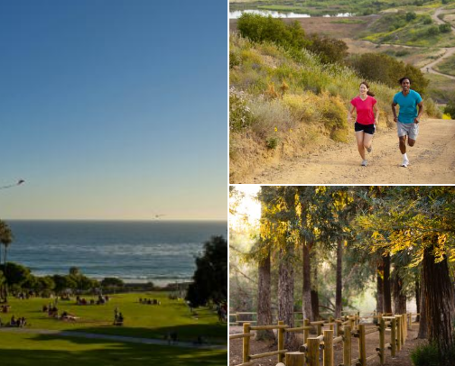 Dog-Friendly Hikes in Southern California That Are Actually Worth the Drive cover photo collage