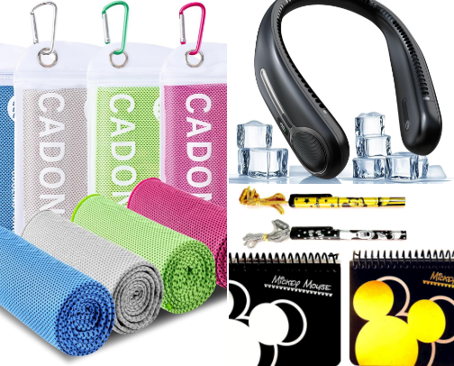 Theme Park Survival Kit: Don't Leave Without These cover photo collage