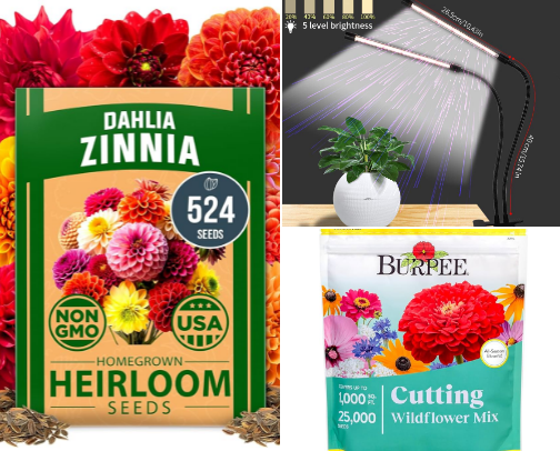 Small Space, Big Garden Energy | Apartment Gardening 👩🏻‍🌾 🍃🥬🪴 cover photo collage