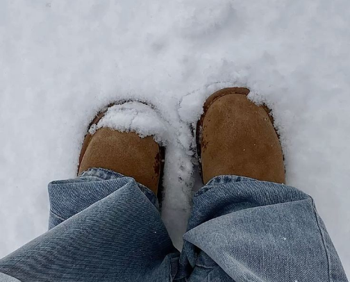 Snow Day Survival Guide cover photo collage