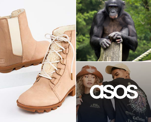 My Go-To Shops for Trendy + Aesthetic Finds 🛍️
Where I shop for cute, on-trend pieces you’ll love too. cover photo collage