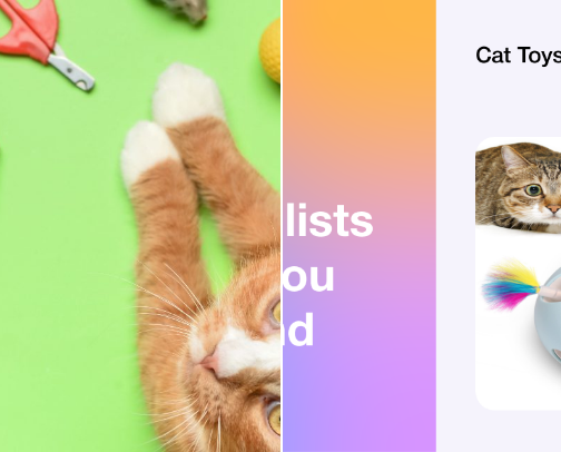Feline playland cover photo collage