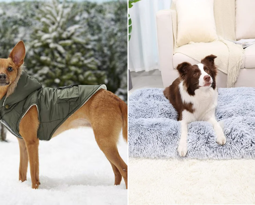Everything for your best friend, your dog💎 cover photo collage