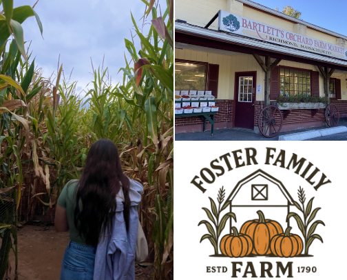 All Things Fall - New England Edition! cover photo collage