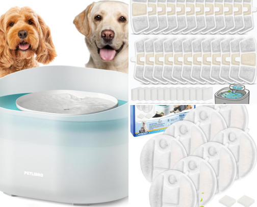 Big Dog Essentials: The Water Fountain, Filters, Beds & Walk Gear We Actually Rebuy cover photo collage