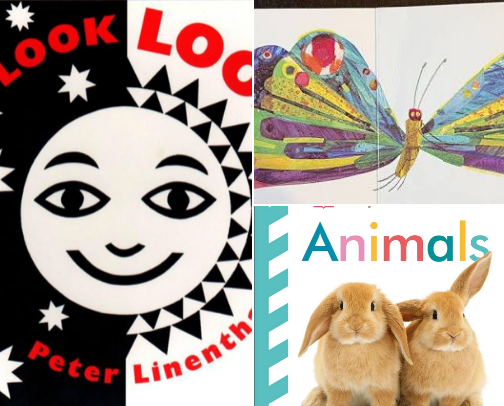 Baby's Cognitive and Development Books cover photo collage