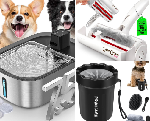 🐾 For Your Little Furry Friends cover photo collage