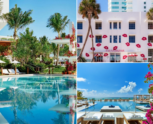 Miami Hotels for the Boujie Bish cover photo collage