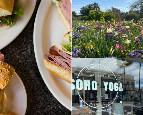 My top local recs cover photo collage