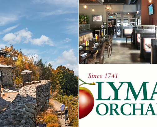 Fav Spots in CT cover photo collage