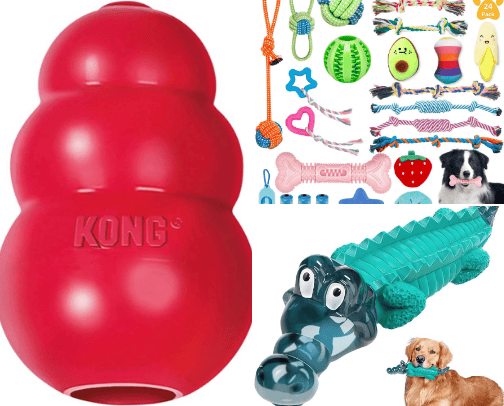 Looking to have a furry friend and want to know more on what items to get??!! Here are my top pet items! cover photo collage