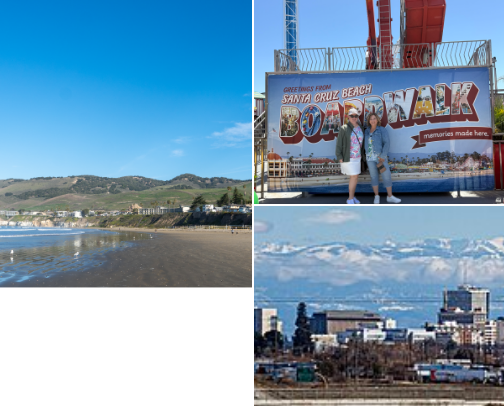 California Yes Please cover photo collage