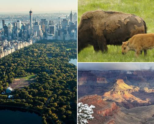 Top 20 Natural Oases of the USA cover photo collage