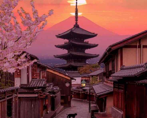 My Best Vacation Ever: Solo Spring Adventure in Japan cover photo collage