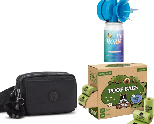 Dog walking essentials must have! cover photo collage