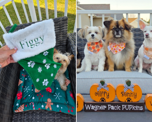 Pawsitively Seasonal Finds cover photo collage