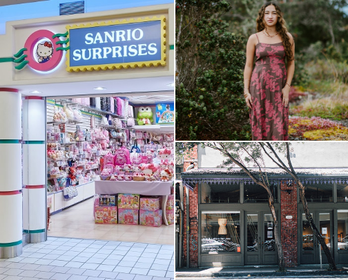 MUST visit stores in Hawaii cover photo collage