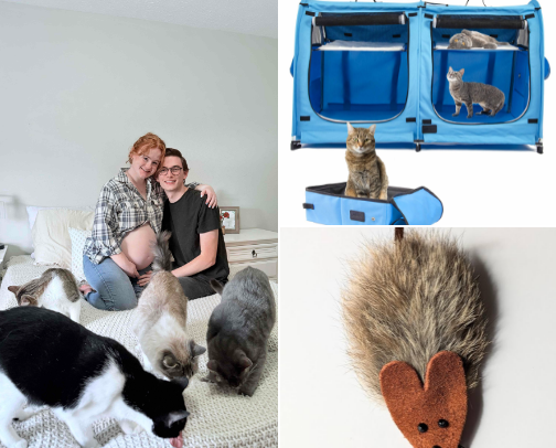 Cat Favorites🐱 cover photo collage