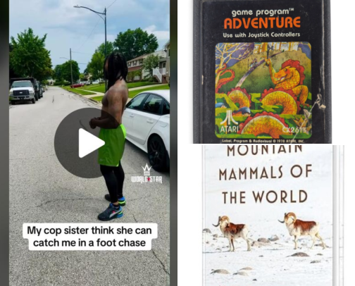 The Ultimate Guide: Learn, Laugh, Explore, Entertainment and Educational cover photo collage