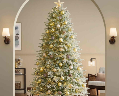 Christmas has arrived early! cover photo collage