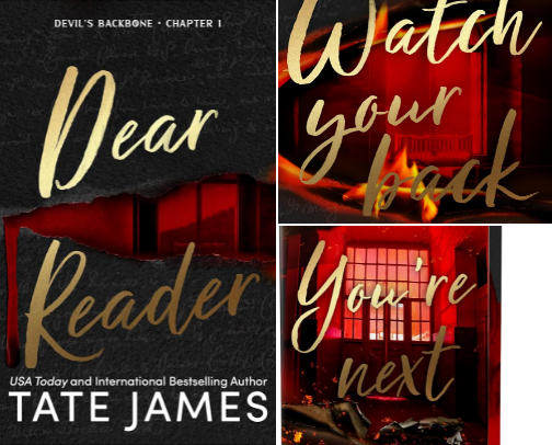 Book Recs cover photo collage