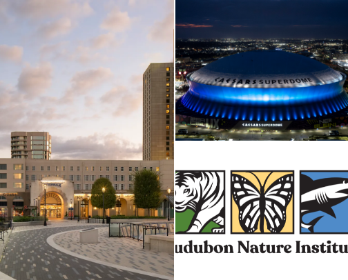 New Orleans cover photo collage
