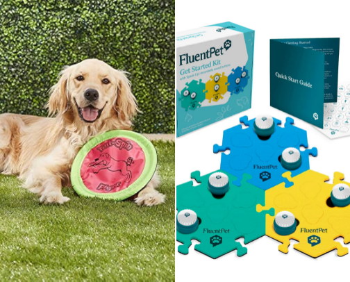 Dog Activity Must Haves! Dog Enrichment toys. cover photo collage
