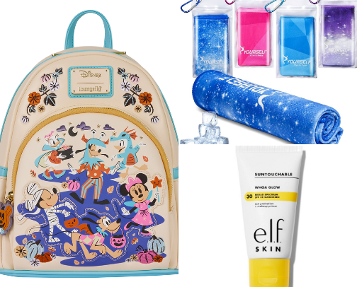 Disney/Amusement Park Essentials cover photo collage