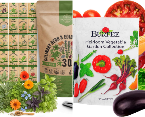 “Girl Gone Farmer” 👩🏽‍🌾 Building a home garden in the city cover photo collage